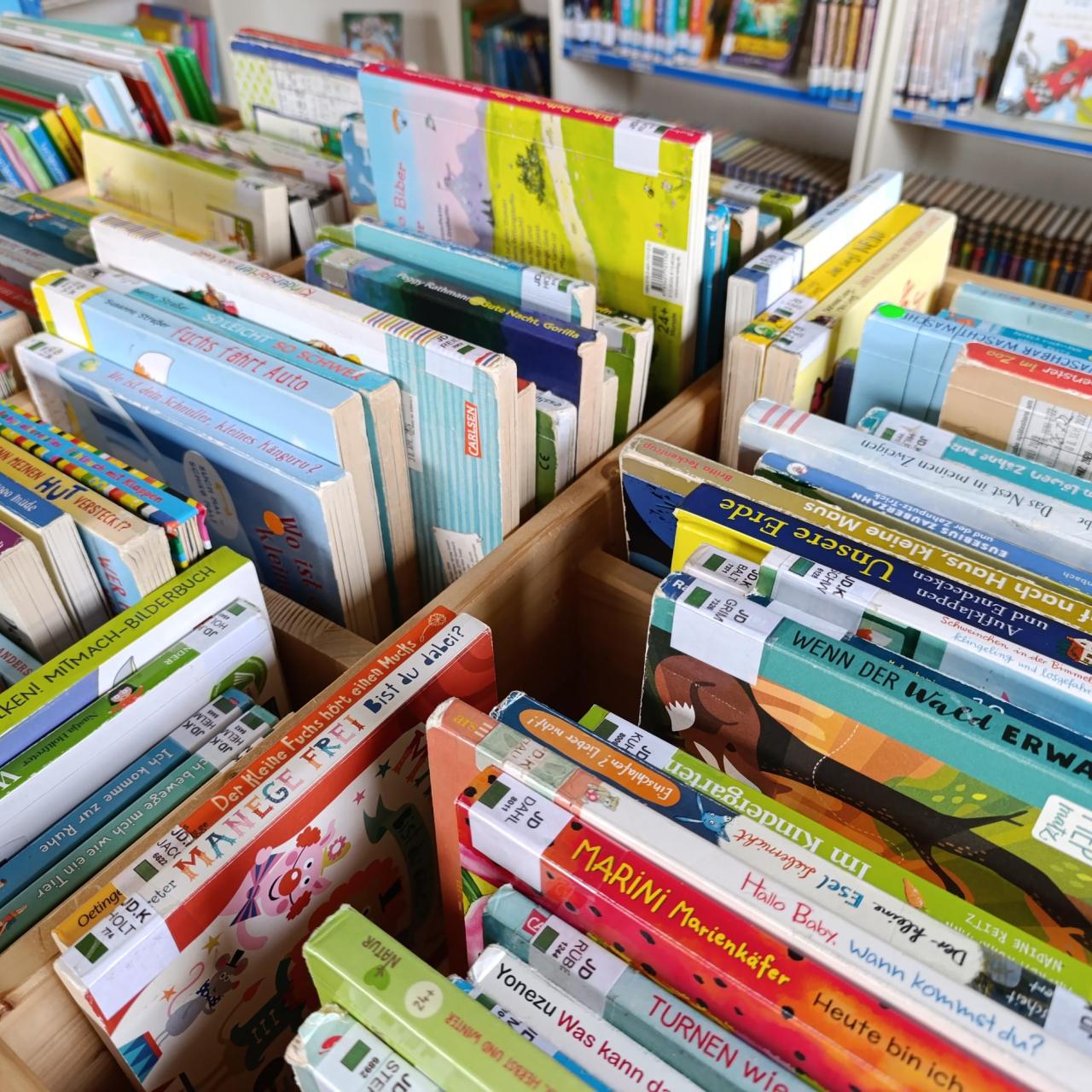 Büchertrog
